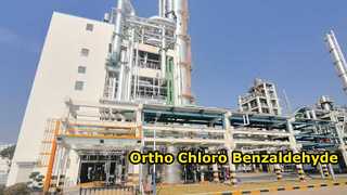 Para Chloro Benzaldehyde-Thường Châu Xindong Công ty TNHH Phát triển Công nghiệp Hóa chất